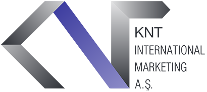  KNT International Logo Main